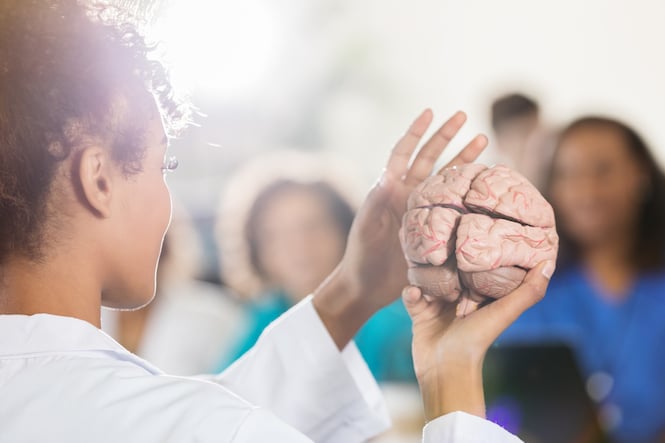 The What, How, and Feel: How the Brain’s Learning Systems Influence L&D